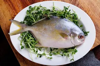 Pomfret